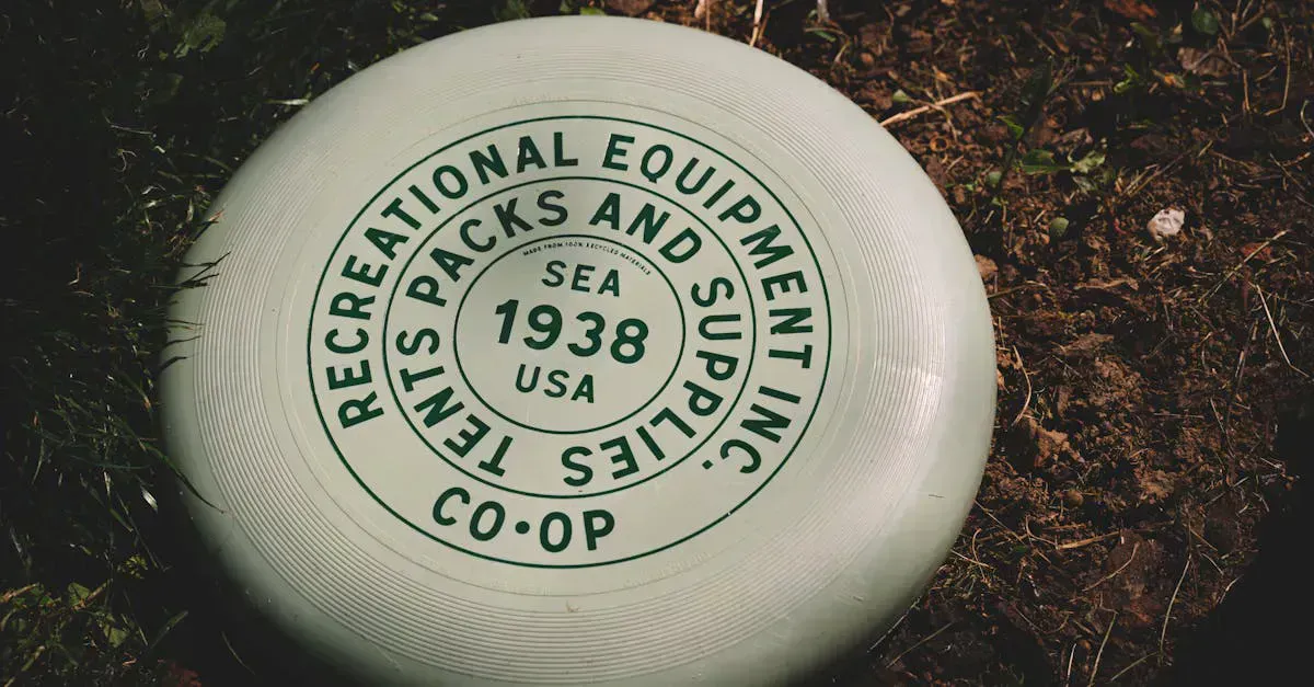 Disc Golf set on a lawn, ready to play