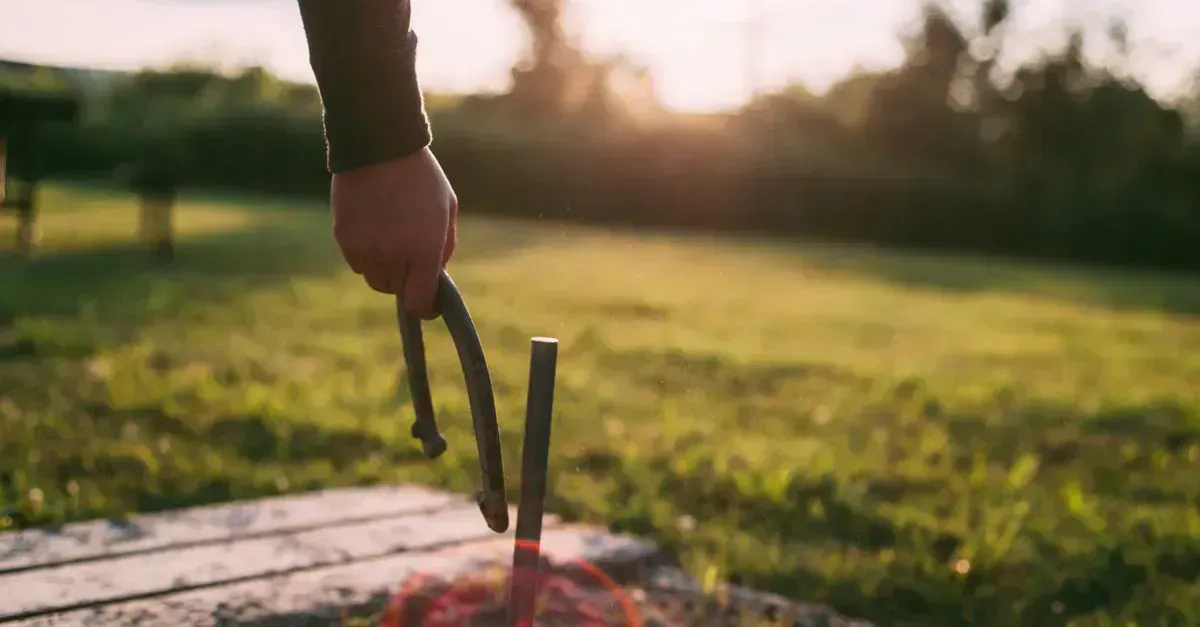 Horseshoes set on a lawn, ready to play