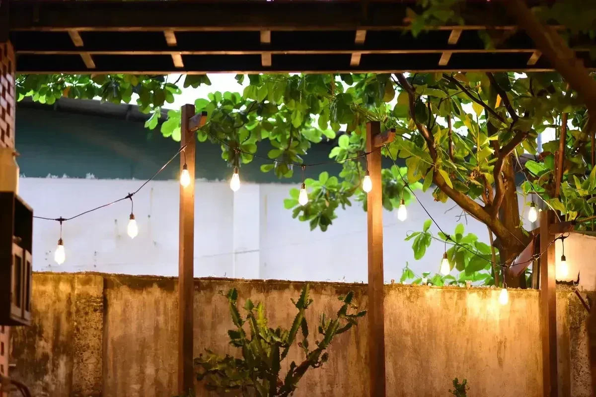 Cozy small patio strung with warm cafe lights and surrounded by green plants