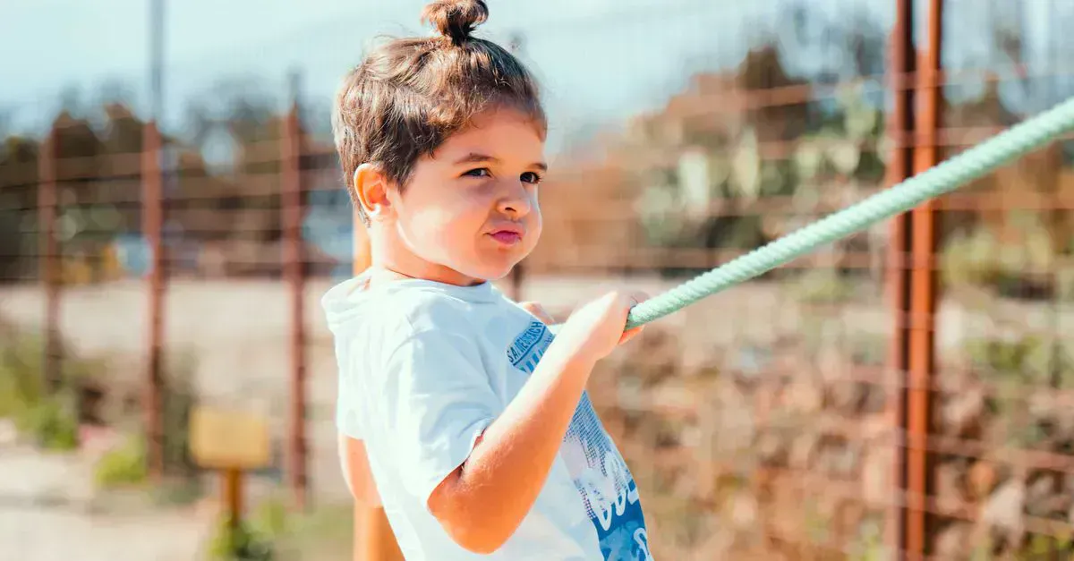 Tetherball set on a lawn, ready to play